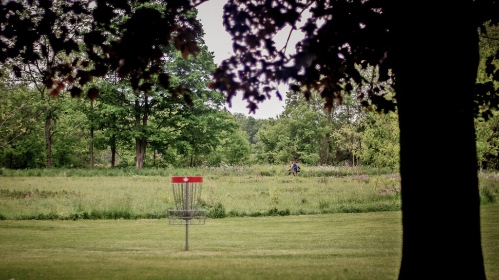Green space at V.A. Barrie Park