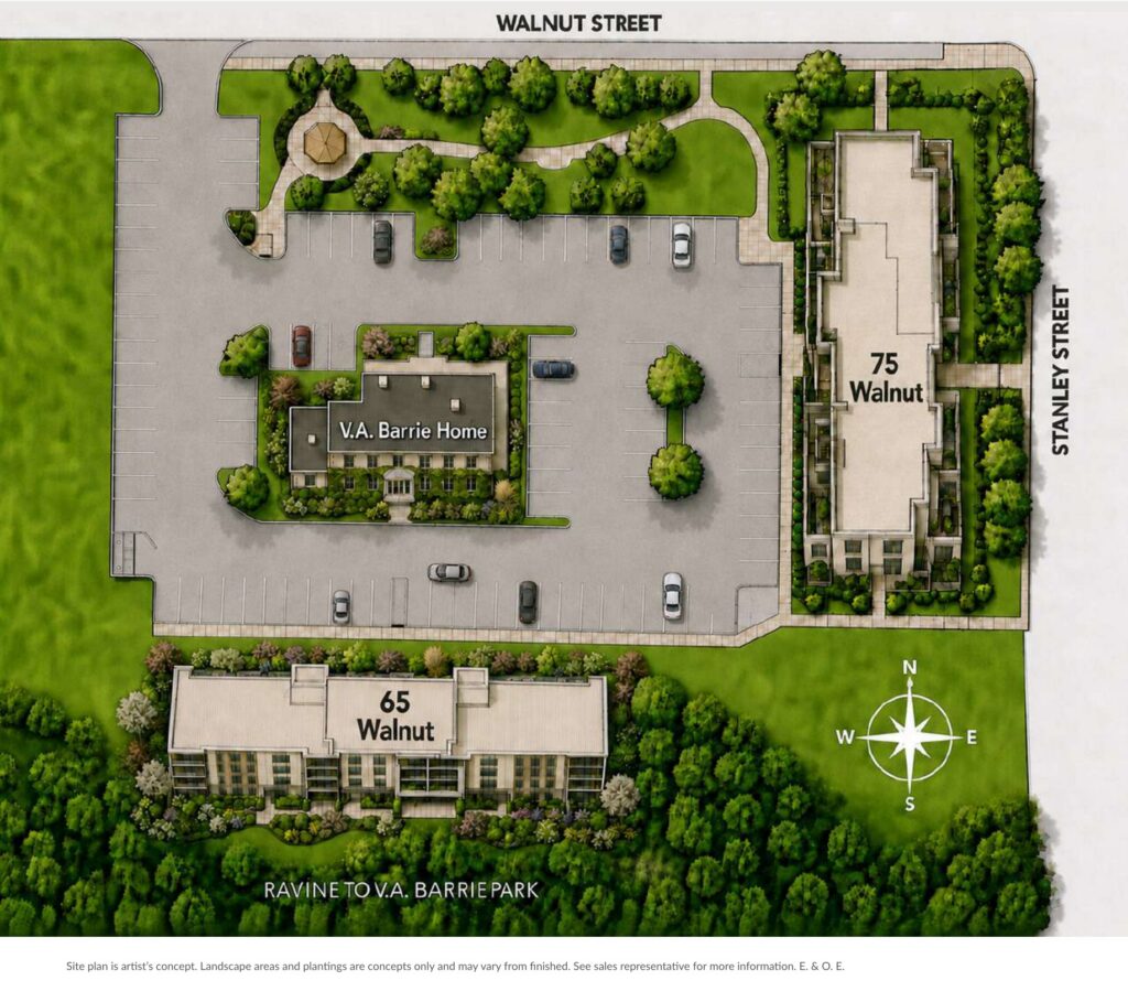 Walnut Park site plan showing The Ridge at 65 Walnut Street, 75 Walnut, the V.A. Barrie Home, landscaped grounds and the ravine to V.A. Barrie Park